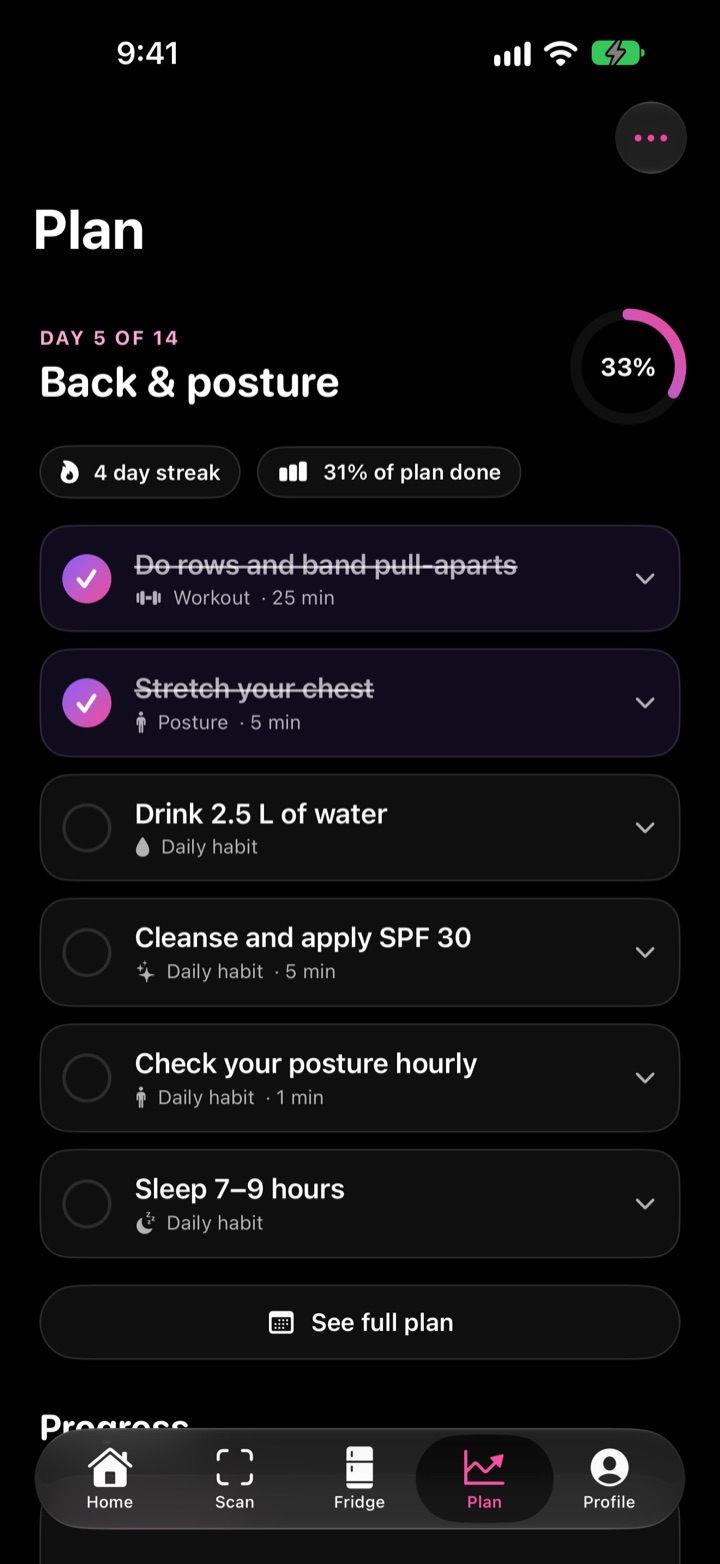 VoltAI daily plan with checklist of tasks